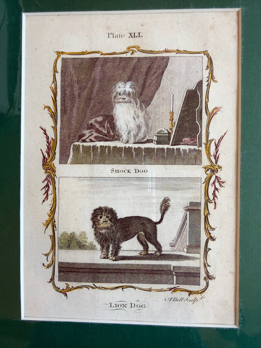 Histoire Naturelle by The Comte de Buffon 1771 Dog Prints