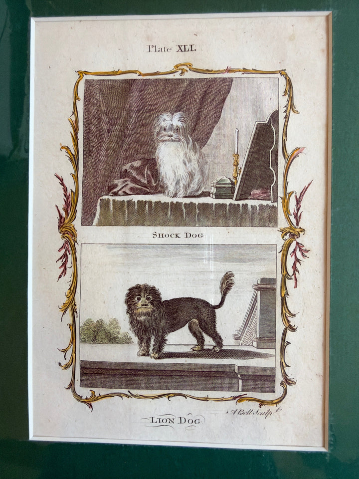 Histoire Naturelle by The Comte de Buffon 1771 Dog Prints