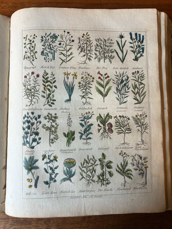 Culpepper's English Physician; and Complete Herbal By E. Sibly, Printed in London 1789