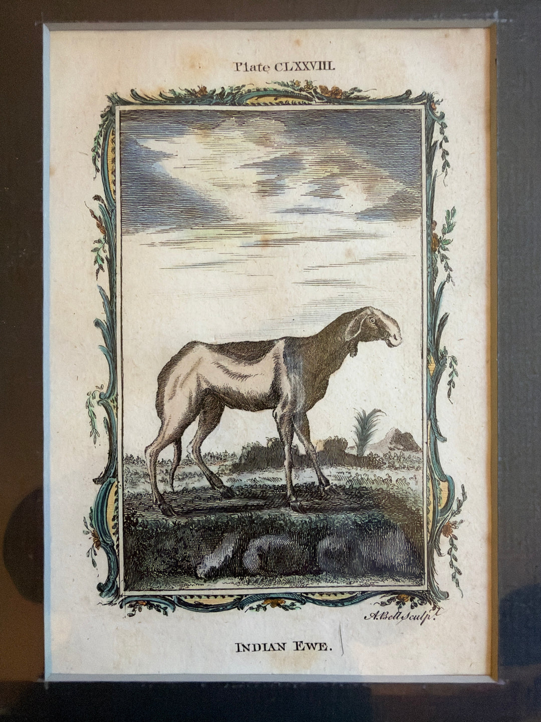 Histoire Naturelle Le Comte de Buffon 1771 Animal Prints