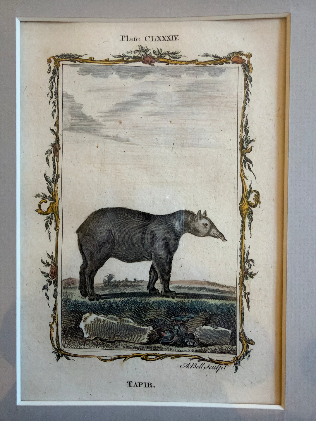 Histoire Naturelle Le Comte de Buffon 1771 Animal Prints