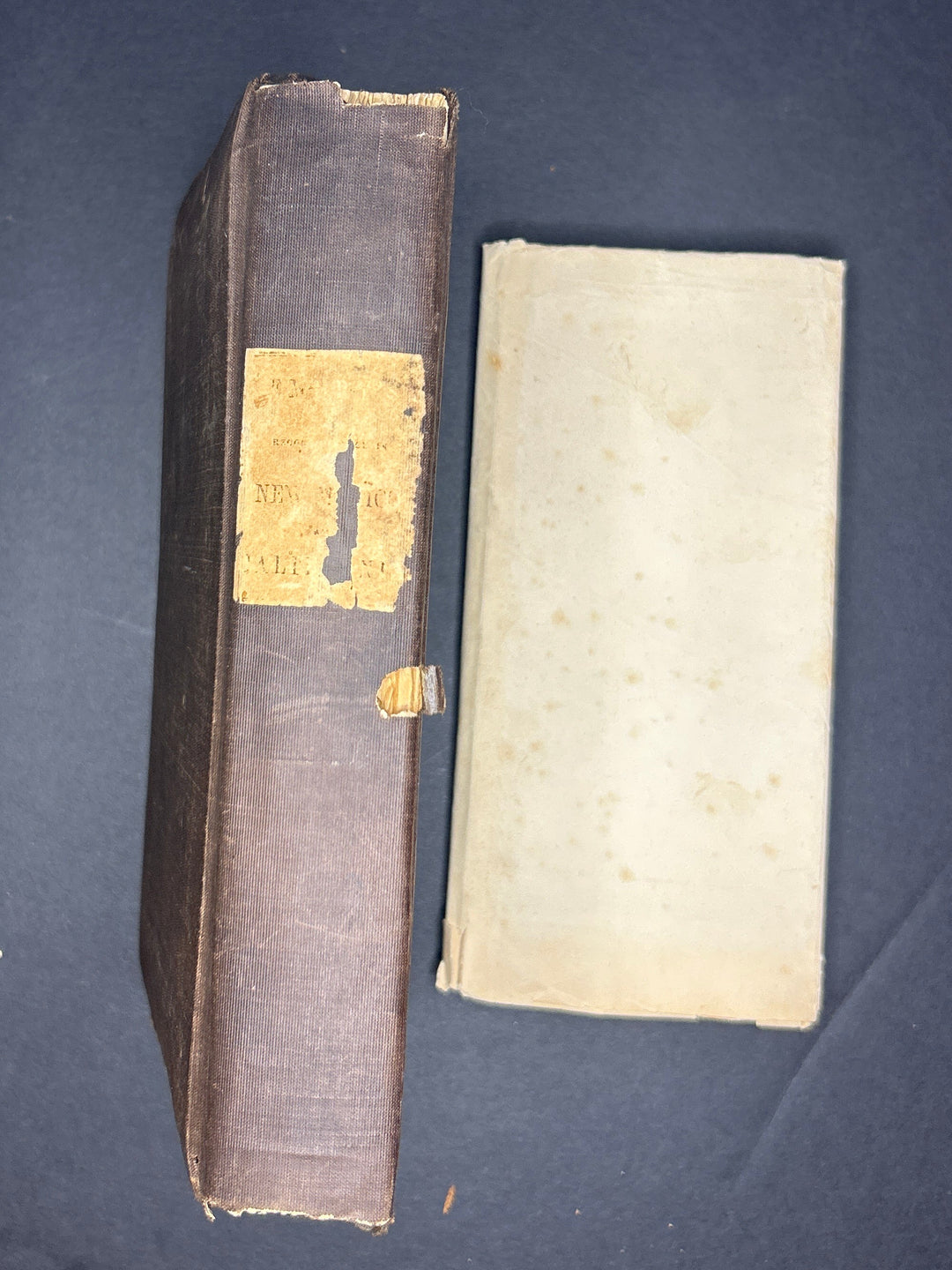 Notes of A Military Reconnoissance, from Fort Leavenworth, in Missouri, to San Diego, in California, including part of the Arkansas, Del Norte, and Gila Rivers 1848