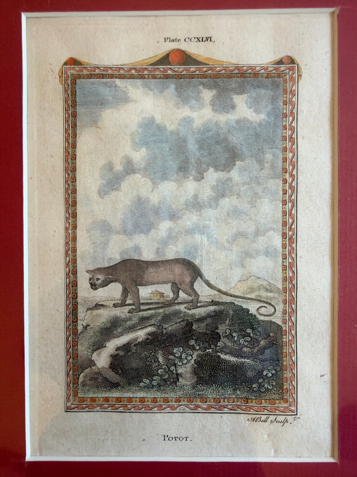 Histoire Naturelle Le Comte de Buffon 1771 Animal Prints