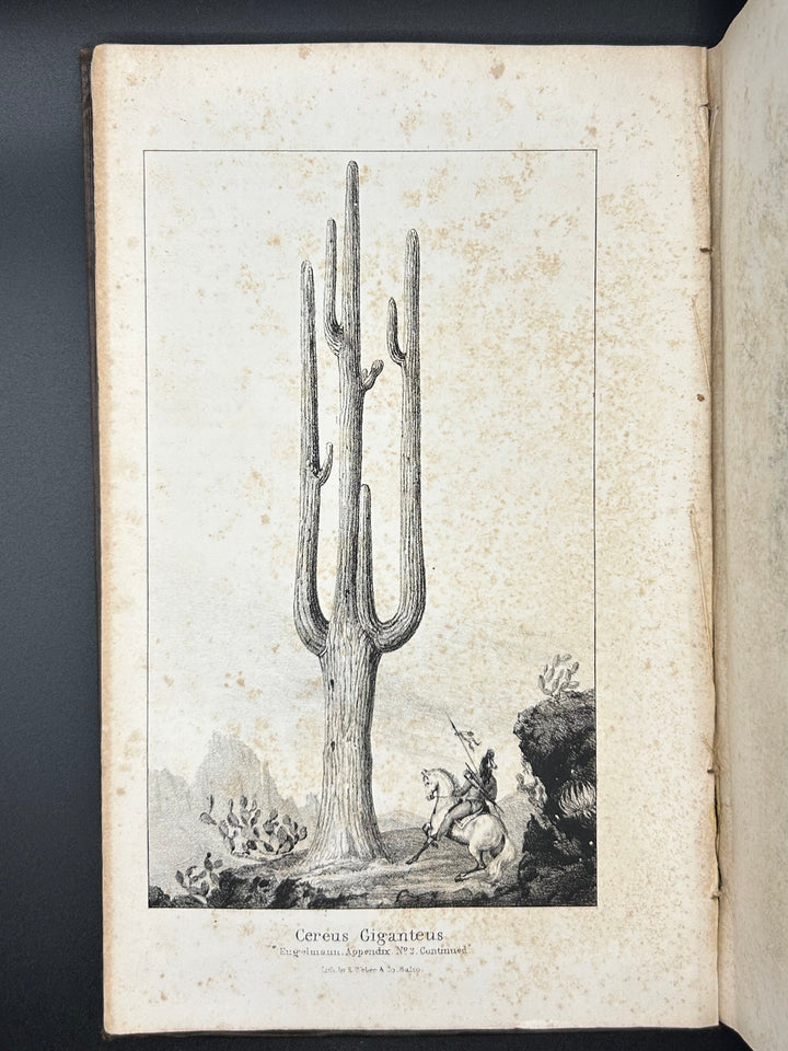 Notes of A Military Reconnoissance, from Fort Leavenworth, in Missouri, to San Diego, in California, including part of the Arkansas, Del Norte, and Gila Rivers 1848