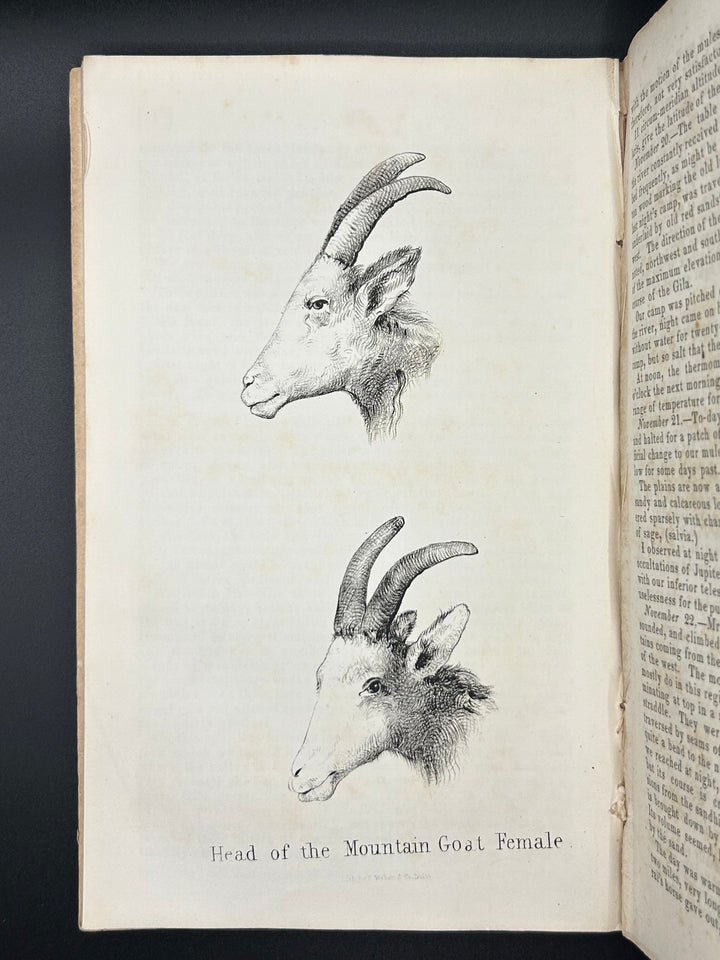 Notes of A Military Reconnoissance, from Fort Leavenworth, in Missouri, to San Diego, in California, including part of the Arkansas, Del Norte, and Gila Rivers 1848
