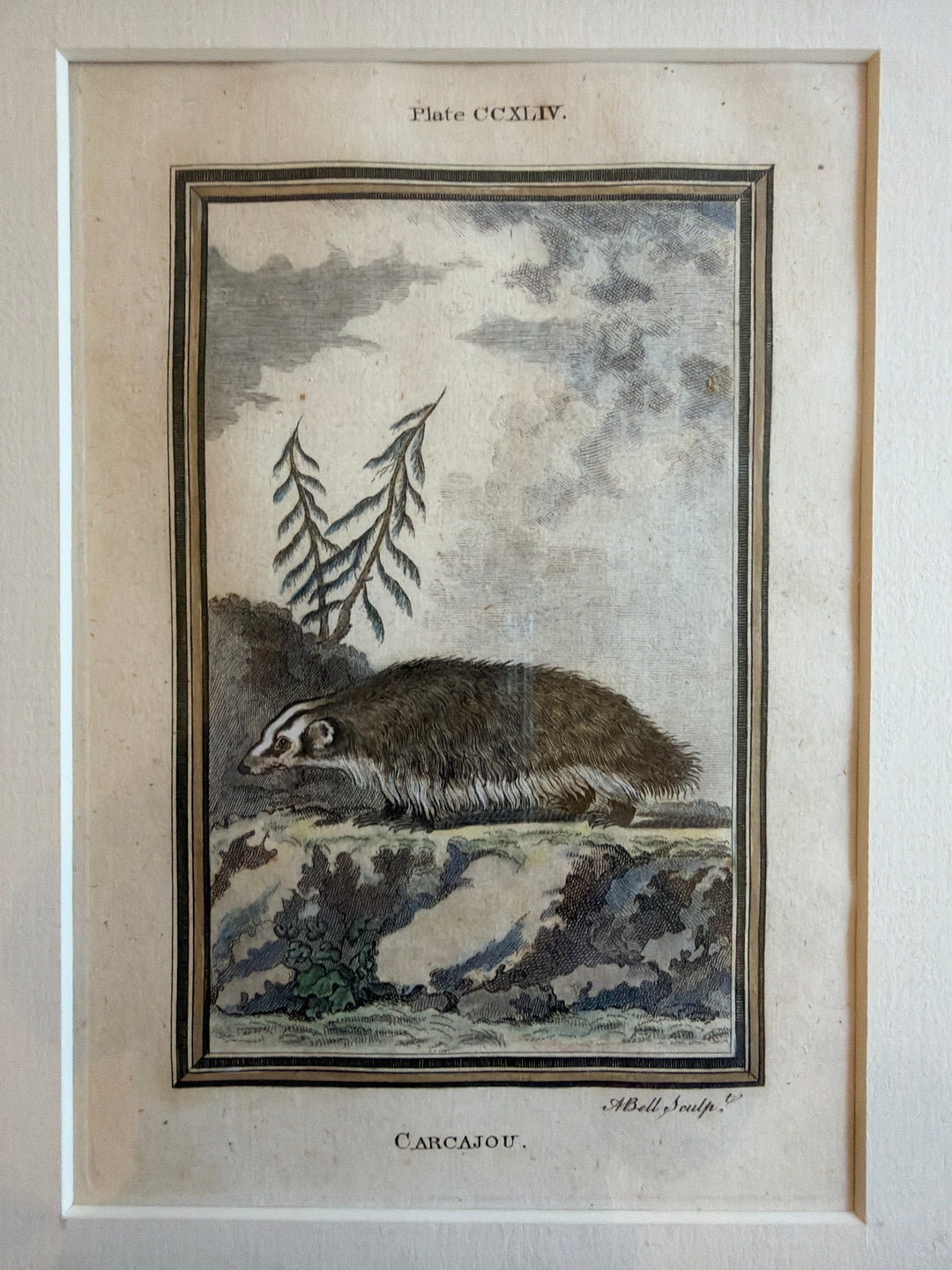 Histoire Naturelle Le Comte de Buffon 1771 Animal Prints