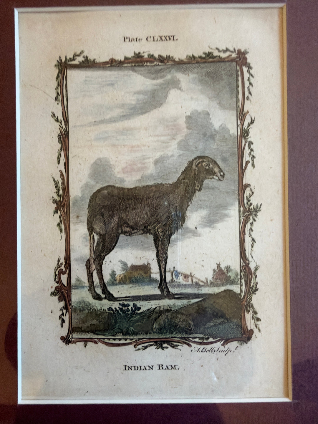 Histoire Naturelle Le Comte de Buffon 1771 Animal Prints