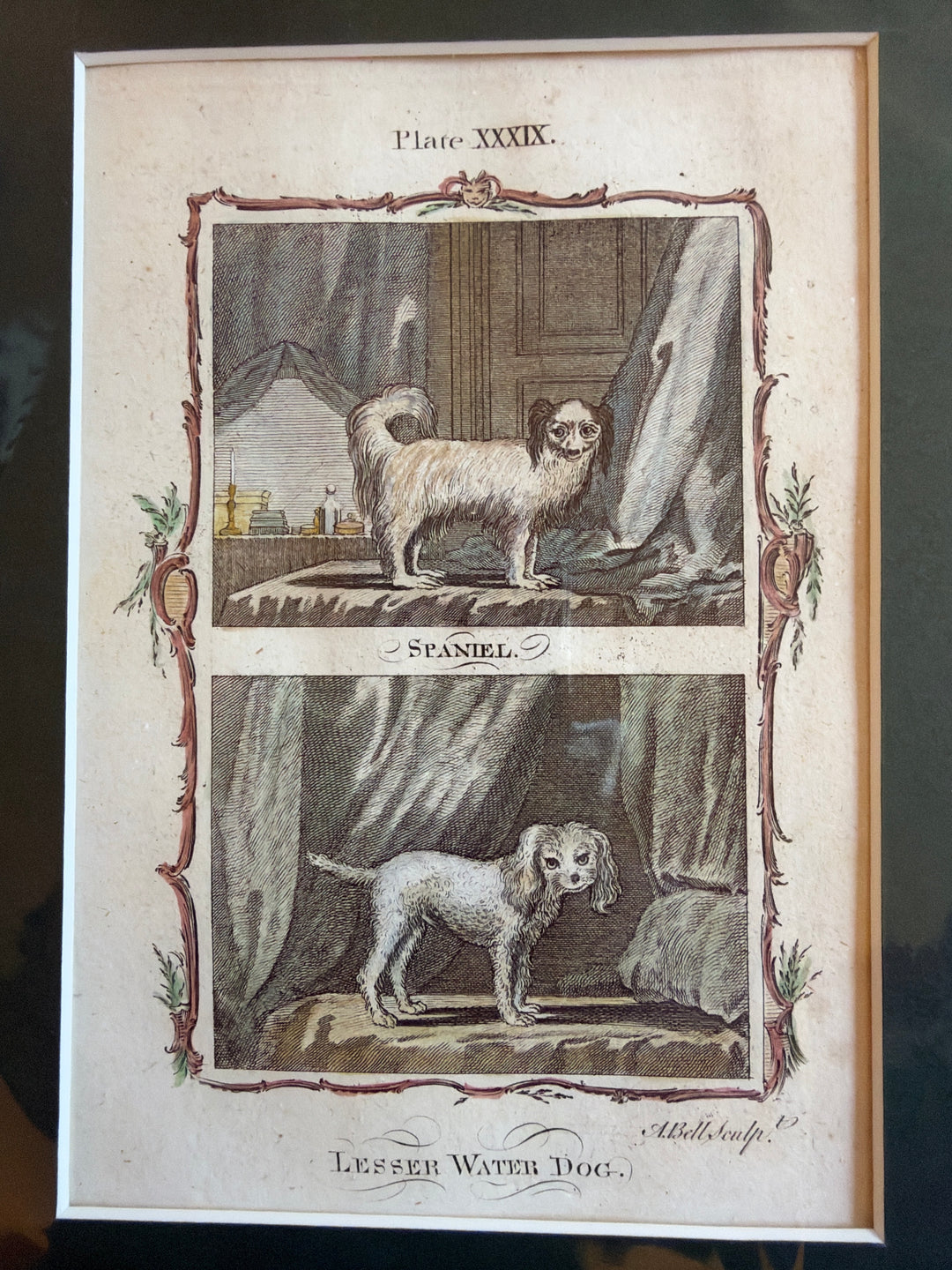 Histoire Naturelle by The Comte de Buffon 1771 Dog Prints