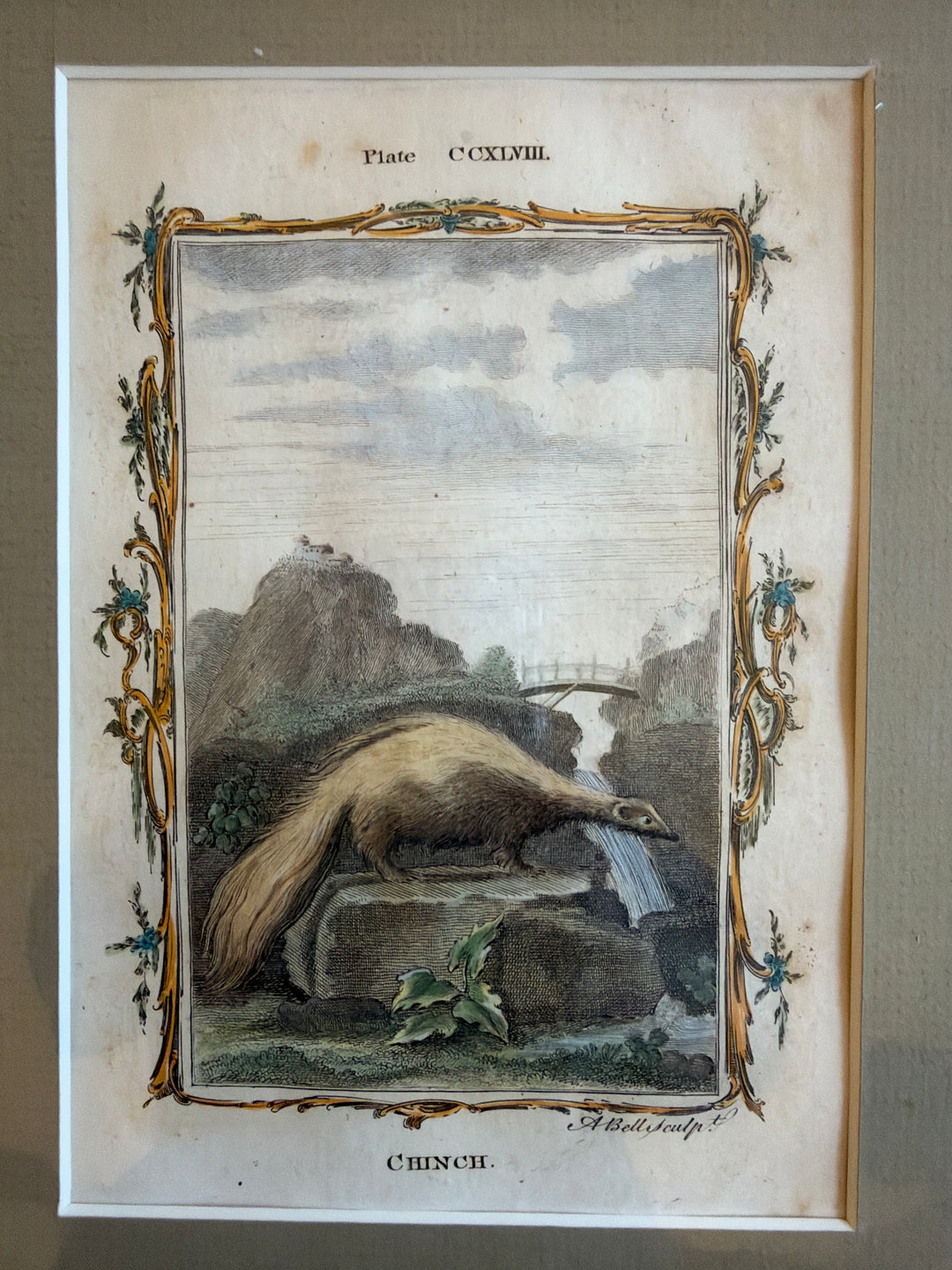 Histoire Naturelle Le Comte de Buffon 1771 Animal Prints