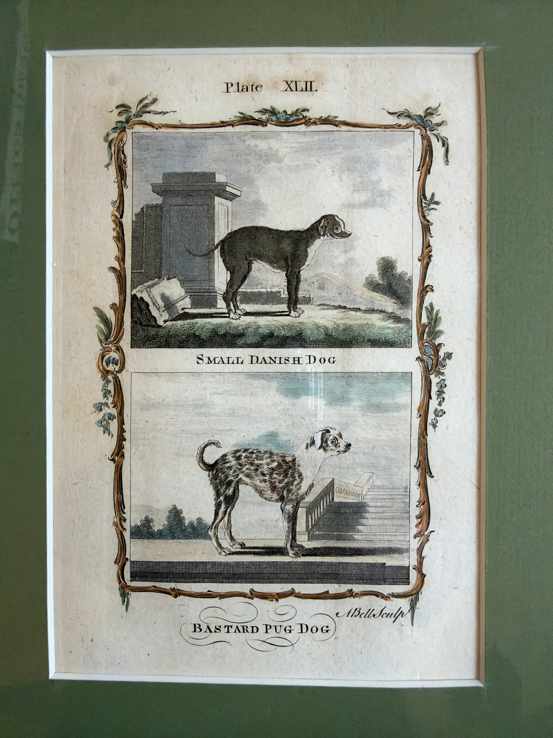 Histoire Naturelle by The Comte de Buffon 1771 Dog Prints