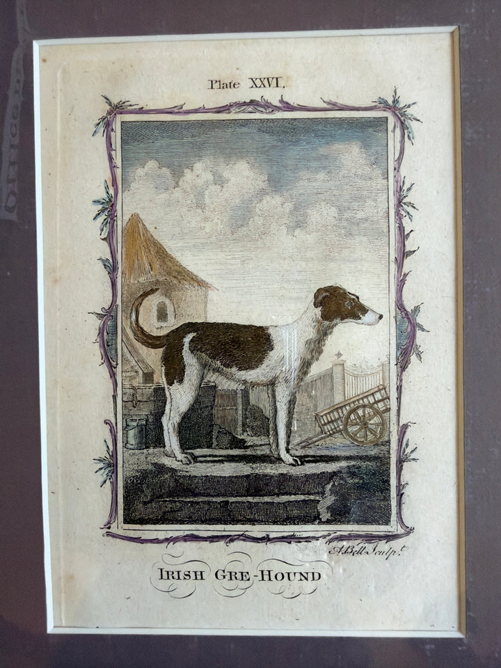 Histoire Naturelle by The Comte de Buffon 1771 Dog Prints
