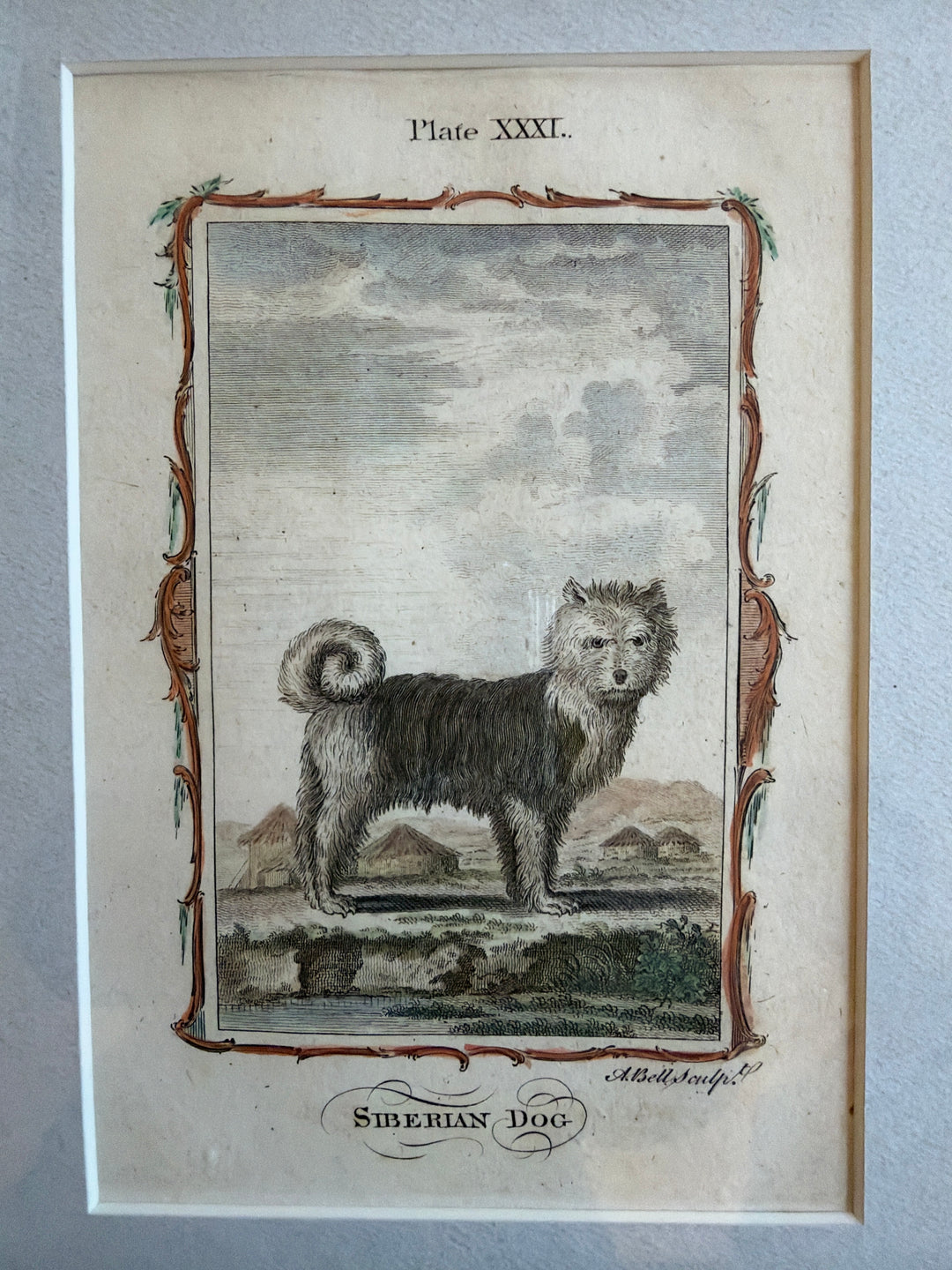 Histoire Naturelle by The Comte de Buffon 1771 Dog Prints