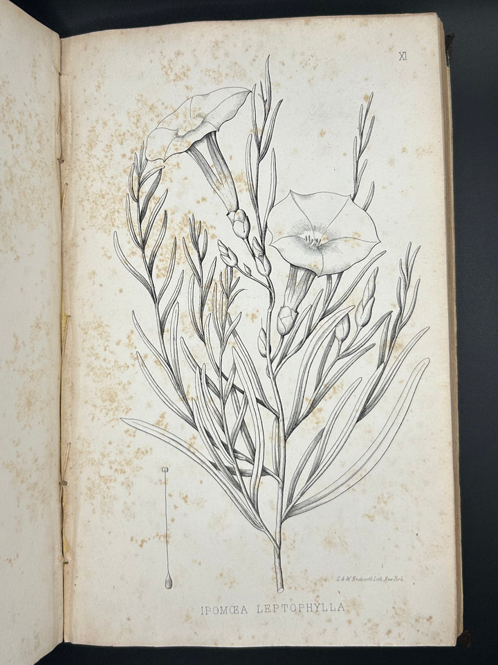 Notes of A Military Reconnoissance, from Fort Leavenworth, in Missouri, to San Diego, in California, including part of the Arkansas, Del Norte, and Gila Rivers 1848