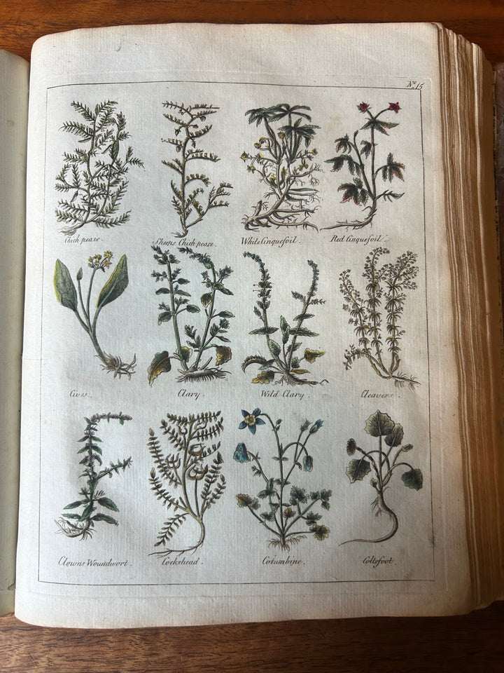 Culpepper's English Physician; and Complete Herbal By E. Sibly, Printed in London 1789