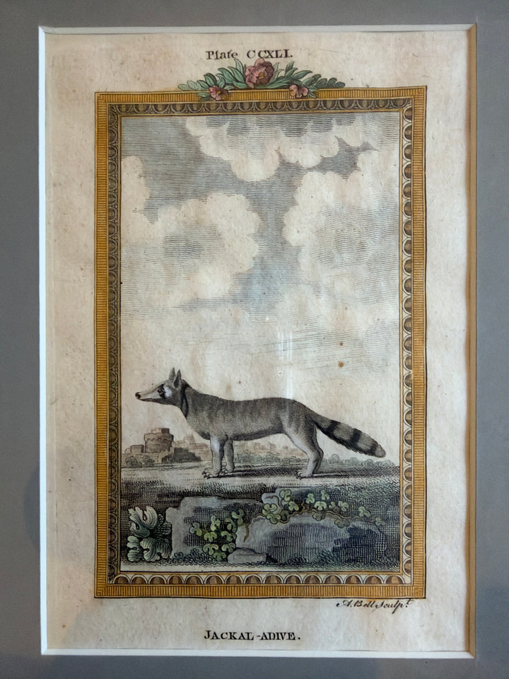 Histoire Naturelle Le Comte de Buffon 1771 Animal Prints