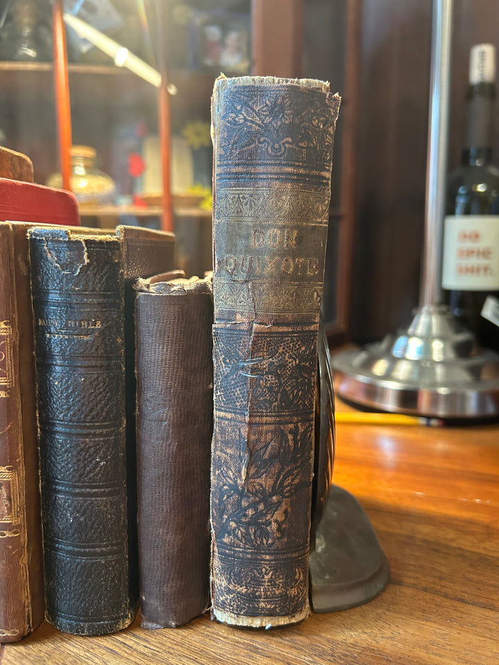Adventures of Don Quixote de la Mancha (Charles Jarvis, transl.) 1880