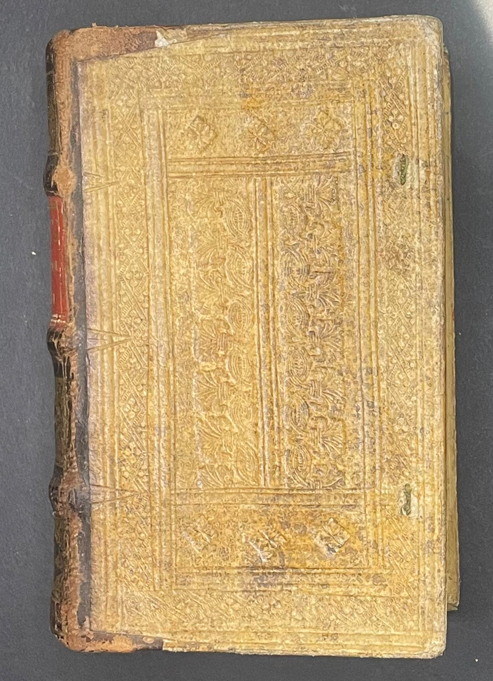 Promptuarium Morale Super Evangelia Dominicalia Totius Anni by Thomas Stapleton 1593